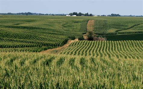 Rohingyas To Reskill As White South African Farmers, In Last Desperate ...