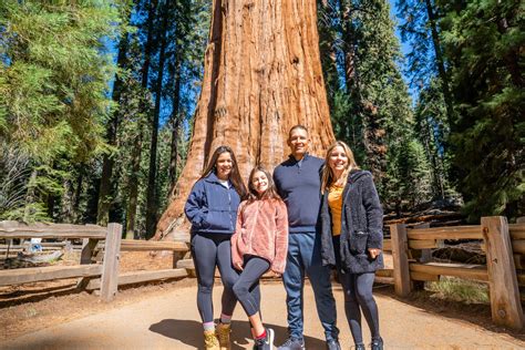 Hit The Best Hiking Trails In Sequoia National Park