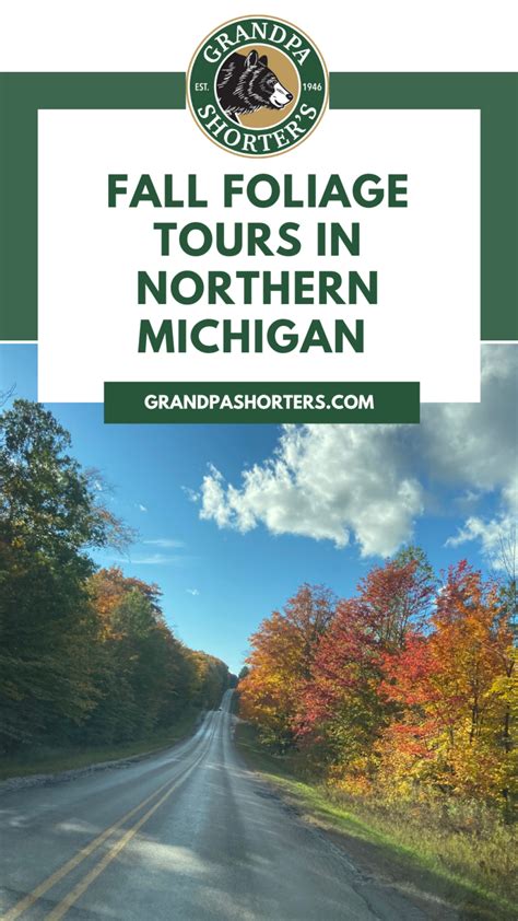 4 Fall Foliage Tours in Northern Michigan That are a Must See