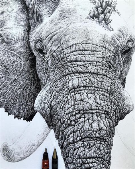 Nature-Inspired Stippling Art Comprises Millions of Hand-Drawn Dots