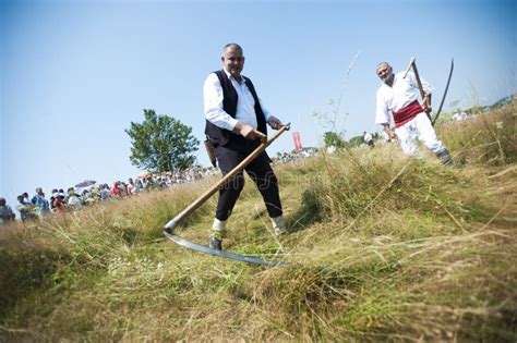 Mowing on Rajac mountain editorial photo. Image of countryside - 154179006