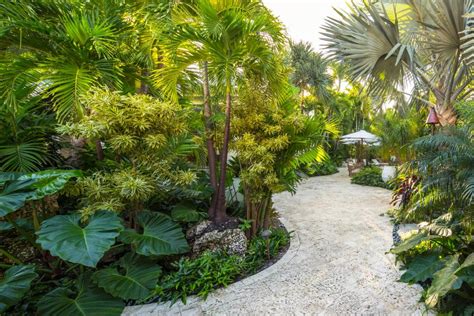 Tropical Backyard Landscaping Ideas, Making Backyard Great Again - HOMIVI