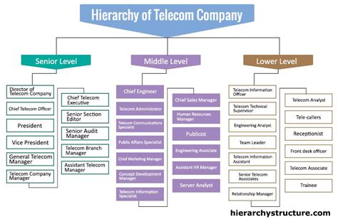 Insurance Marketing Organization Structure - Lifelia