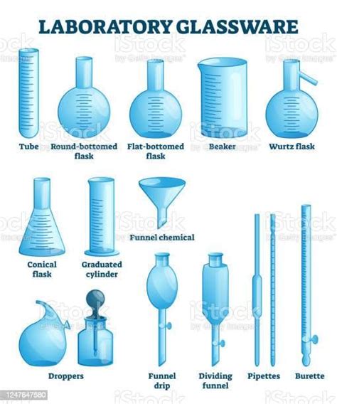 Laboratory glassware vector illustration. Labeled science equipment ...