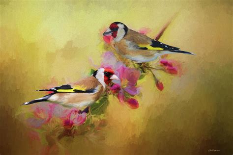 European Goldfinch - Painting Painting by Ericamaxine Price