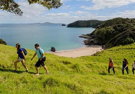 Sea legs? Fun things to do on land at the Bay of Islands