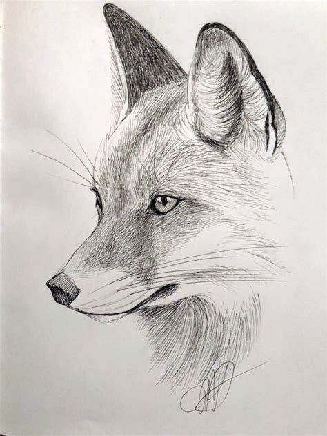 Pin on GRAFITOYTINTA | Animal drawings sketches, Pencil drawings of ...