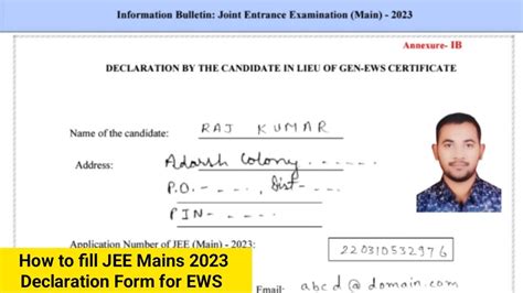 Self Declaration Form Nta Jee Mains 2023 - Printable Forms Free Online