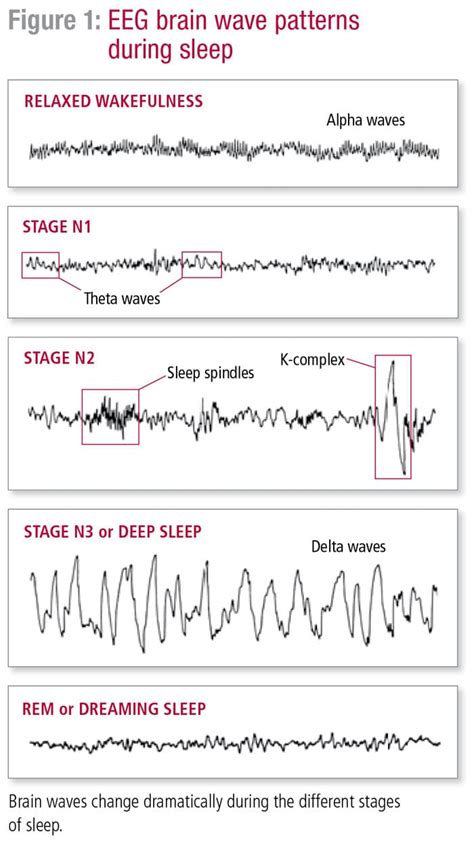 The Stages of Sleep: REM and Non-REM Sleep Cycles