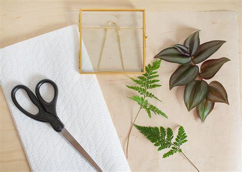 Wild Interiors — Add Natural Decor with DIY Pressed Leaf Art