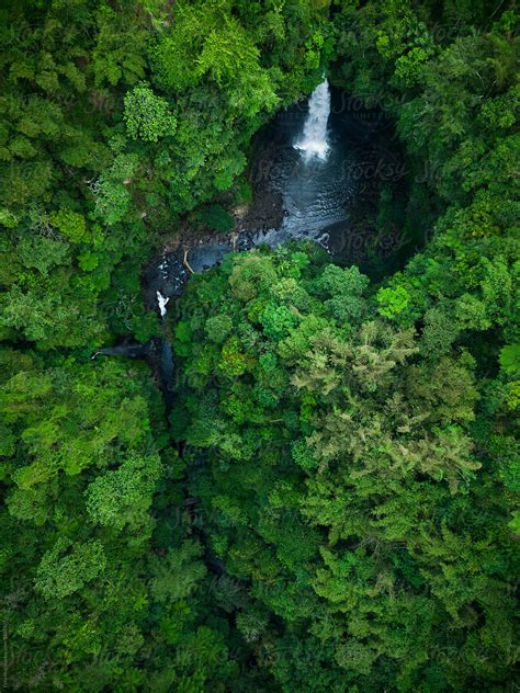 "A Waterfall In A Jungle Forest In Bali" by Stocksy Contributor "Eyes ...