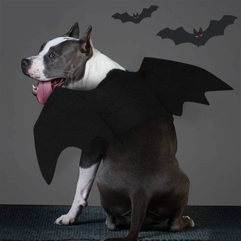 Rypet Dog Bat Costume - Halloween Pet Costume Bat Wings Cosplay Dog ...