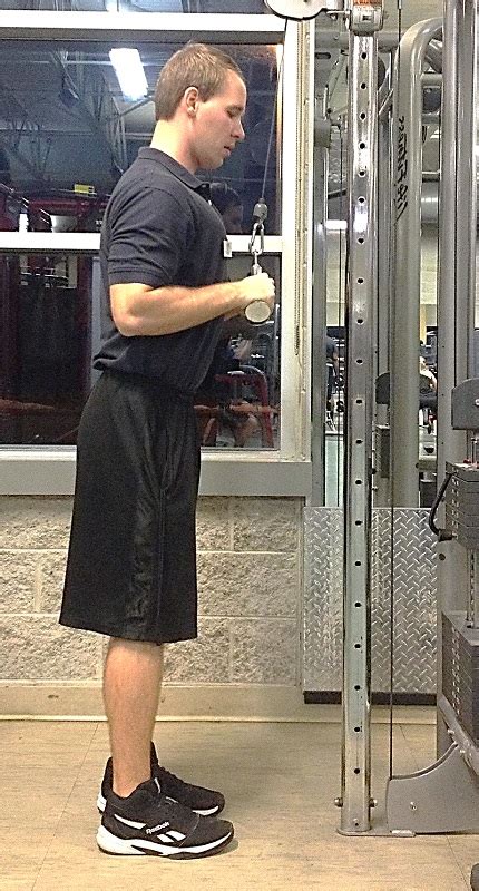 Exercise of the Month: V-Bar Triceps Pushdown - Town of Ajax