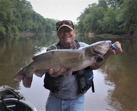 Pond and River Catfish: Small Waters, Big Prize | FishTalk Magazine