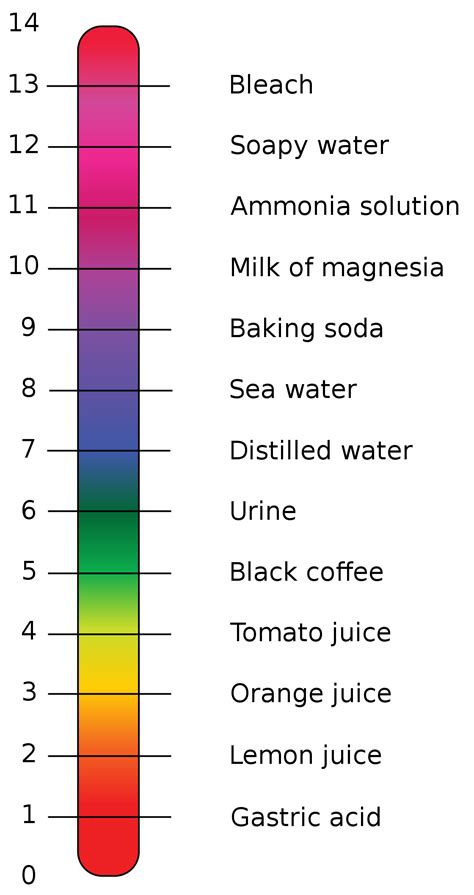 File:PH Scale.svg - Wikimedia Commons