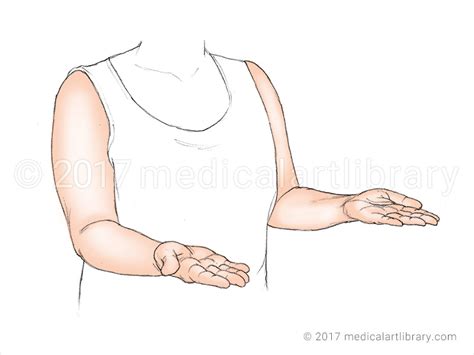 Forearm Supination - Medical Art Library