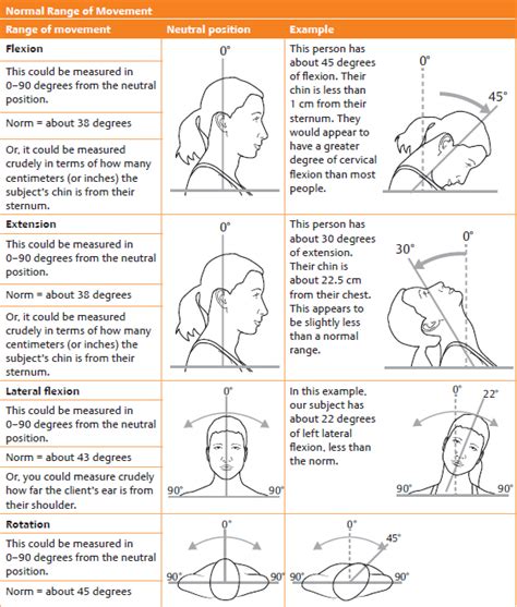 Neck Assessment | Musculoskeletal Key