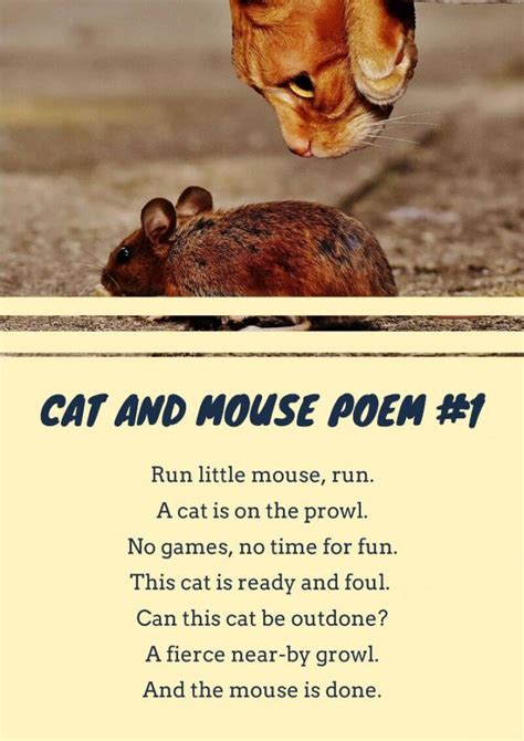 Short Cat Poems That Rhyme - pic-cafe