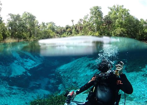 Alexander Springs dive site | PADI