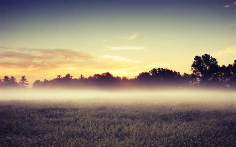 wallpapers: Early Morning Fog Wallpapers