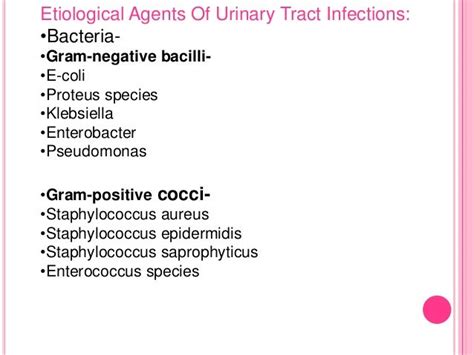 bacteria in urine culture negative