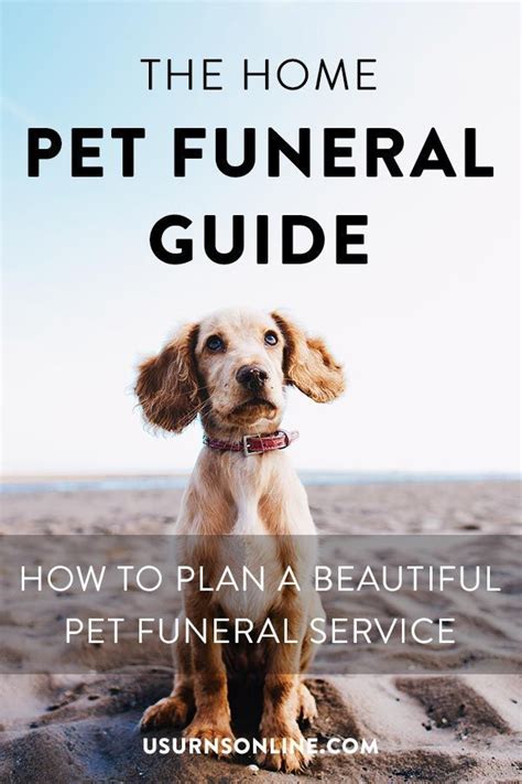 DIY Pet Funeral Guide: How to plan a pet funeral service » Urns | Pet ...