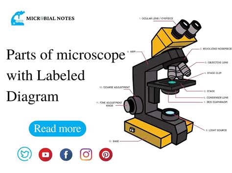 Parts of microscope with Labeled Diagram - Microbial notes