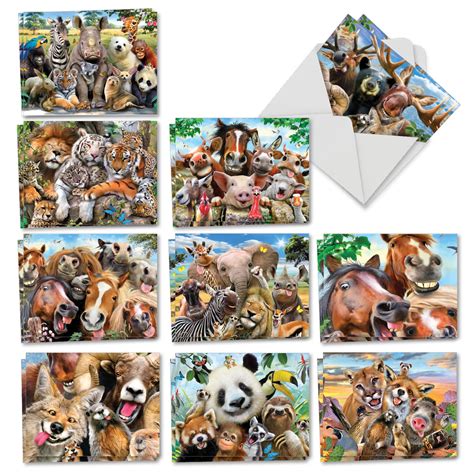 20 Funny Animal Cards Boxed (4 x 5.12 Inch) - Assorted Blank Notecard ...