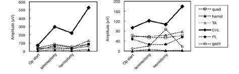 Motor evoked potential amplitude changes during L1-L2 partial ...