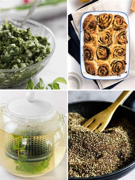 5+ Oregano Recipes Fresh - LileSjoerd