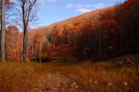 Fall colors in the NC mountains. : r/pics