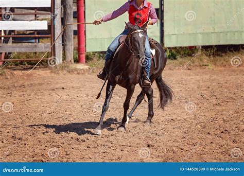 Whip Cracking Rodeo Competition Stock Image - Image of coil, action ...