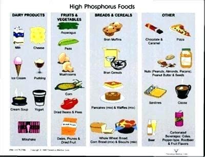 Renal Dialysis Diet Food List Printable