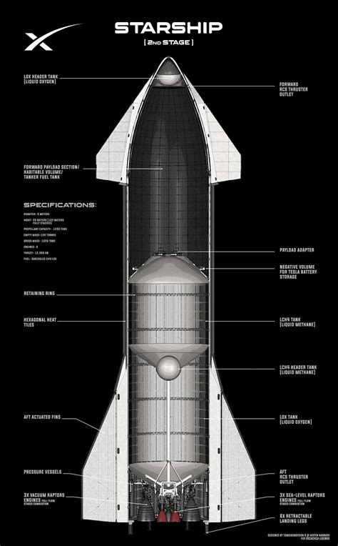 Cutaway schematic of SpaceX Starship interior by Tom Dixon | human Mars