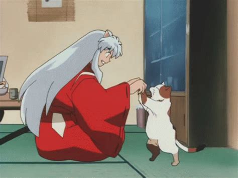 Inuyasha Buyo GIF - Inuyasha Buyo Cat GIFs | Say more with Tenor