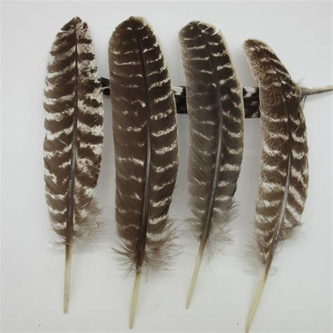 Wholesale Natural Eagle tail feathers 20 40CM Eagle bird Turkey ...