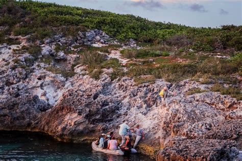 The Seabirds of the Cay Sal Bank, a wild and unconquered atoll in the ...