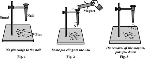 What is the magnetic induction? Explain with the of a diagram.