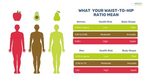 Use Our Hip Waist Ratio Chart | How to get 0.7 Waist to Hip Ratio