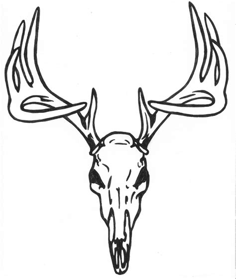 deer... Maybe add floral Deer Drawing Easy, Deer Skull Drawing, Deer ...