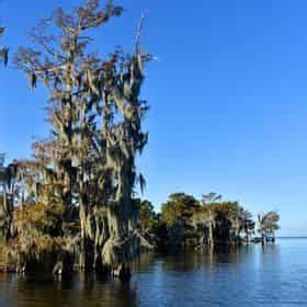 Adventures of Jean Lafitte Swamp Tour with Optional Transportation from ...