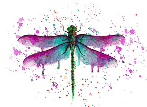 Dragonfly painting, Watercolor dragonfly tattoo, Watercolor dragonfly