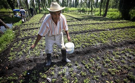 Chinampas: The key to sustainable food production