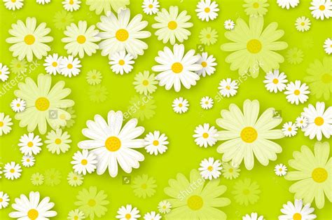 Yellow Daisy Wallpapers on WallpaperDog