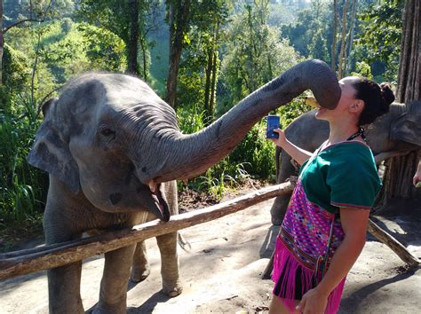 CHIANG MAI ELEPHANT SANCTUARY HALF DAY - CHIANG MAI TOURS