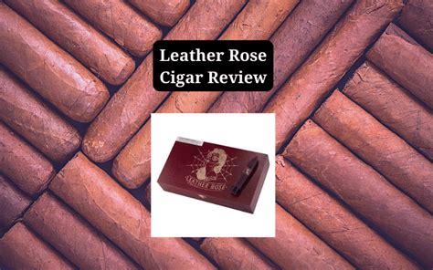 Leather Rose Cigar Review (2024)