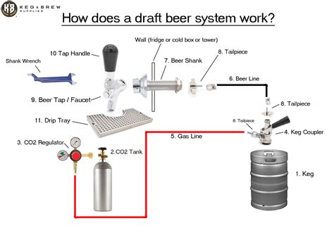 Draft Beer System