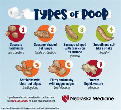 What does healthy poop look like?