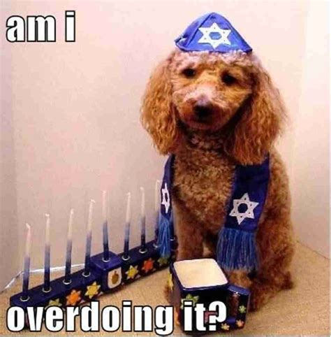 [View 30+] Happy Hanukkah Funny Images 2020