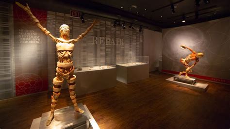 'Real bodies' exhibition causes controversy in Australia - BBC News